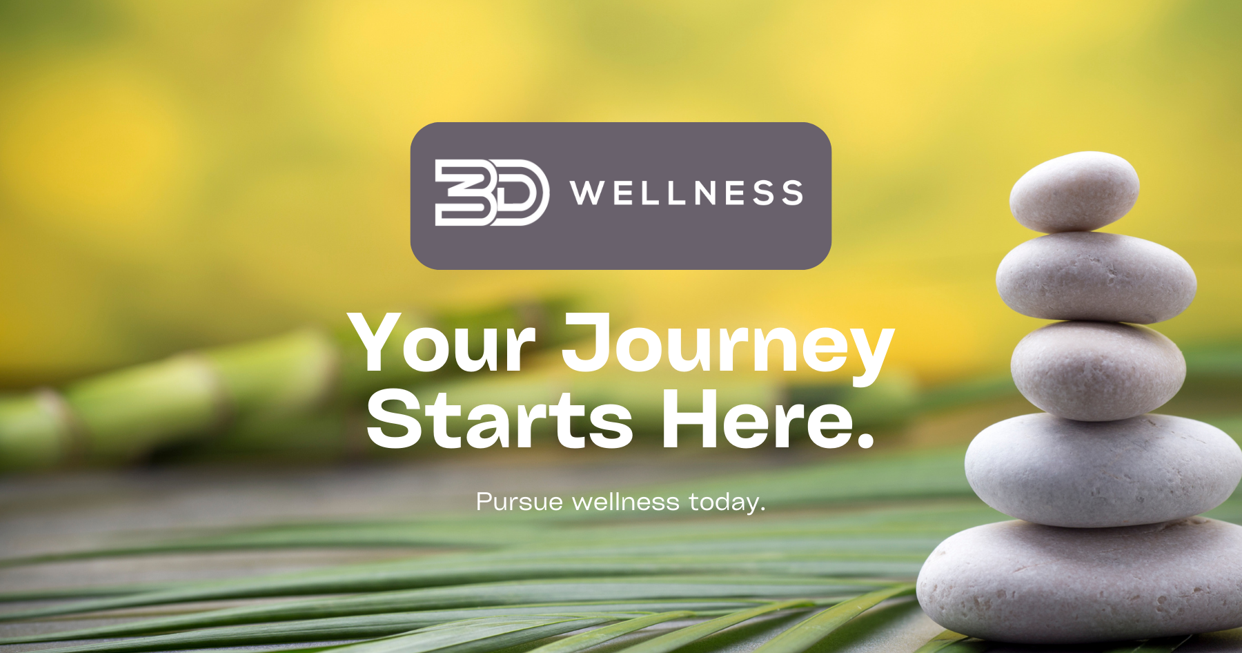 3D Wellness