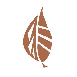 Vivify Wellness at Avenues