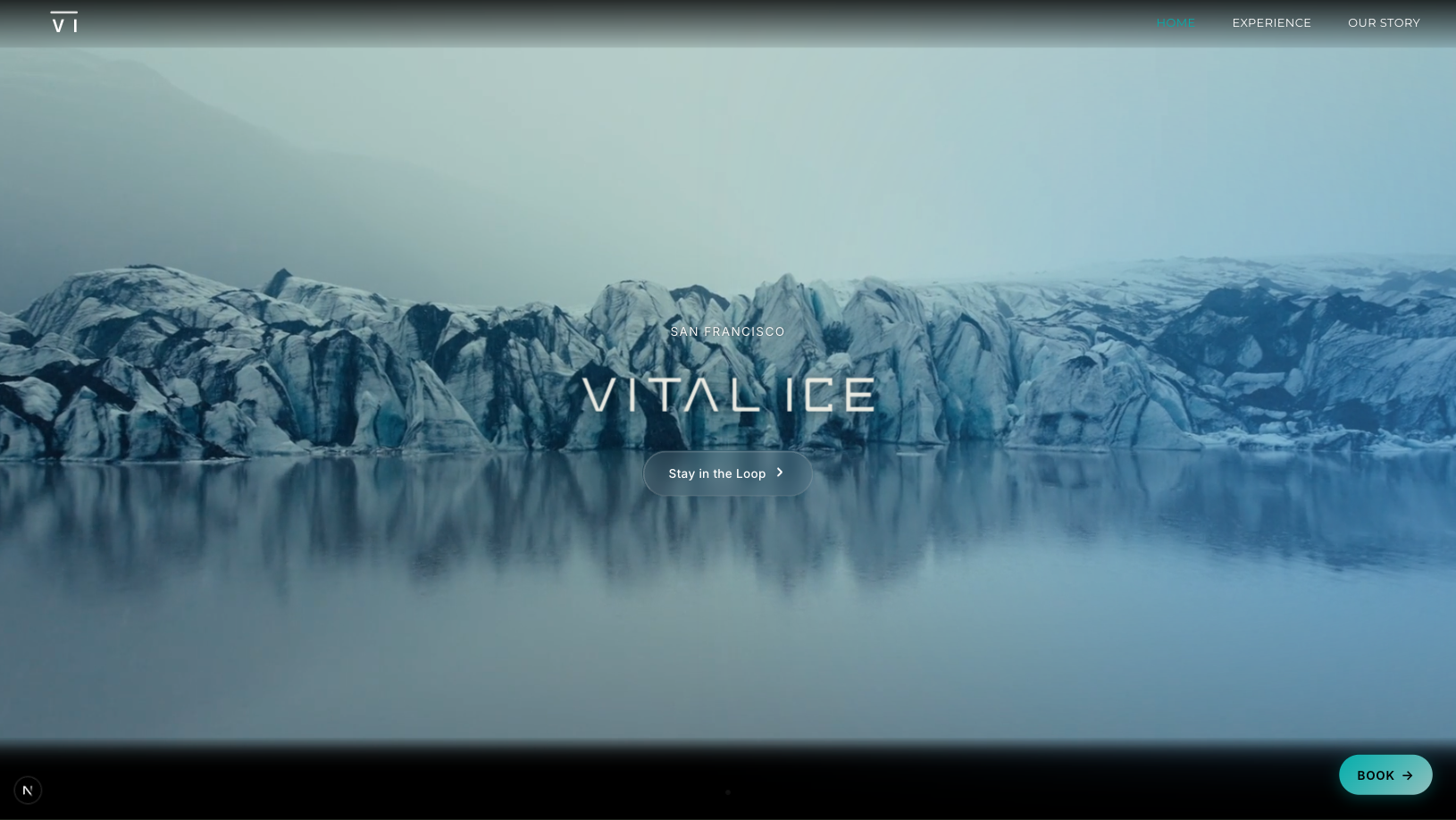 Vital Ice